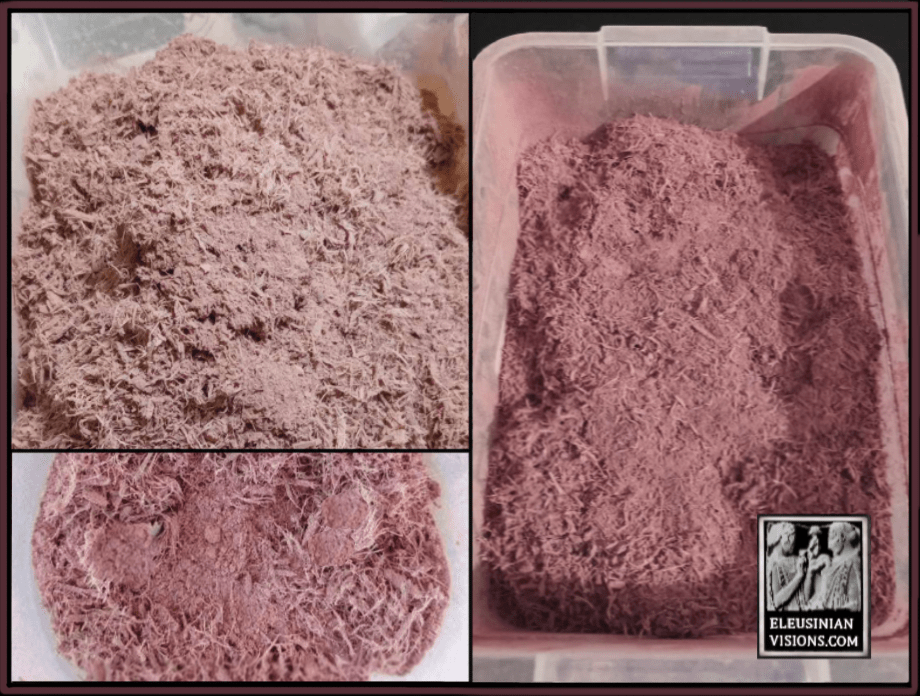 Mimosa Hostilis MHRB shredded Powdered/Powder